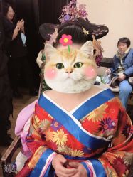 -盘子女人坊古装写真摄影(天津总店)