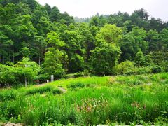 -阿哈湖国家湿地公园