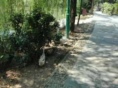 -石塘人家