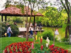 -西溪国家湿地公园