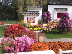 -上海共青森林公园