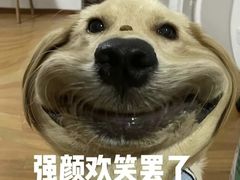 -乐汇城