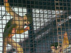 -泉州海丝野生动物世界