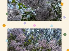 -海棠花溪(元大都城垣遗址公园)