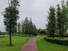 -两河城市森林公园