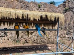 -西霞口神雕山野生动物世界