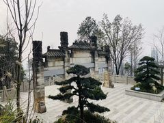 -南山植物园
