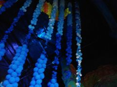 -青岛嘉年华主题乐园