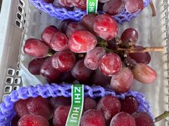 -马陆小张葡萄园农家乐