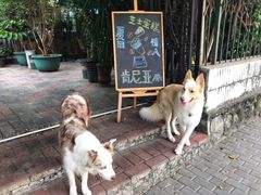 -豆舞咖啡(民乐路店)