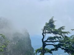 -瓦屋山景区