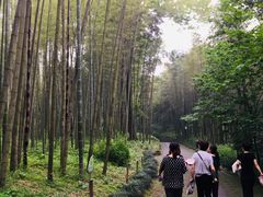 -西湖风景区十里琅珰-五云山