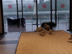 -帐篷客·溪龙茶谷度假酒店