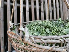 -南靖田螺坑土楼群景区