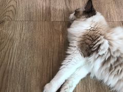 -iF摄影•全家福•证件照•形象照(南山店)