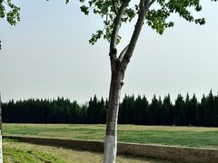 -汉长安城未央宫国家考古遗址公园