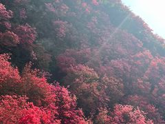 -木兰云雾山