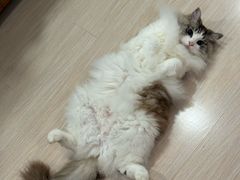 -星巴克臻选(上海合生汇1F店)