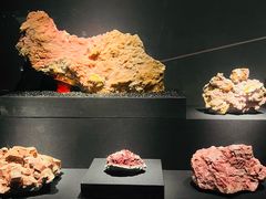-山东博物馆