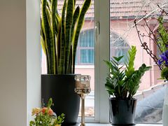 -蝶舍·MAISON PAPILLON