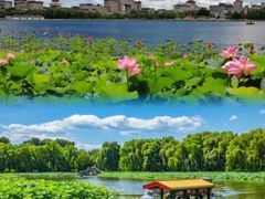 -莲花池公园