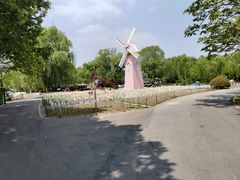 -祥源·阜阳生态乐园