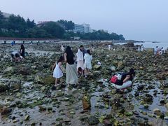 -养马岛旅游度假区