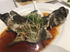 清蒸牛仔鱼-流舫海鲜酒家(张溪店)