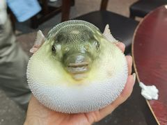 -永安鱼庄·镇江菜(东吴路店)