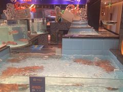 -尚海豆捞(乐虹坊店)