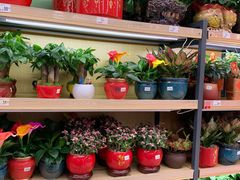 -大润发(花都店)