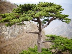 -圣莲山风景区