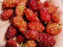 -碓臼峪自然风景区