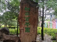 -洛阳市隋唐城遗址植物园