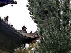 -张掖大佛寺景区