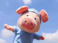 -佳雯宠物医院(四明中路分院)