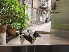 -义顺牛奶公司(新马路老店)