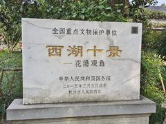 -西湖游船