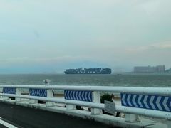 -演武大桥观景平台