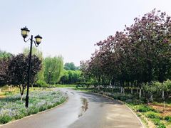 -永定河休闲森林公园