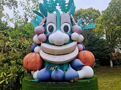 -上海都市菜园