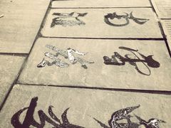 望江楼公园-望江楼公园