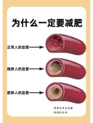 -Fundi张玉珊修身堂·indiba·BTL科技瘦身