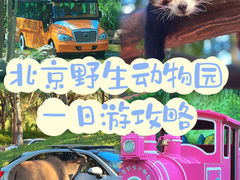 -北京野生动物园