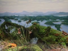 -中国湿地博物馆
