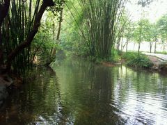 -大屏嶂森林公园