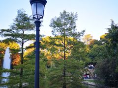 -丽池公园