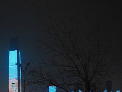 -武汉江城明珠豪生大酒店