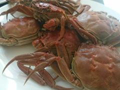 -东方红海鲜百汇(国际大厦店)