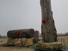 -北京凤凰岭